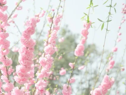 How To Follow Your Joy