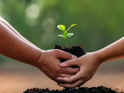 How To Forgive Yourself - The Wanderer Ep 2