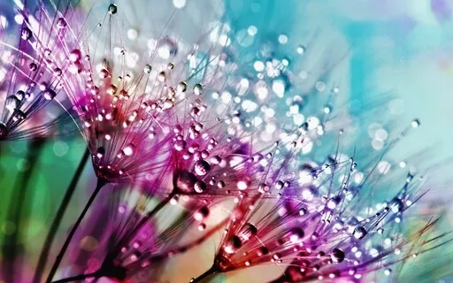 How To Fully Feel Our Feelings