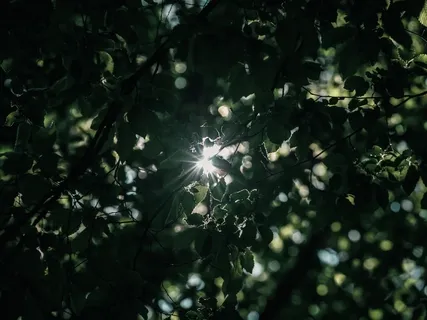 How To Gain The Real Benefit Of Mantra Repetition