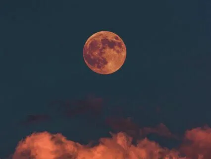 How To Get To The Root Of Emotional Suffering