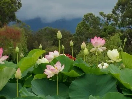 How To Give Up Doubt