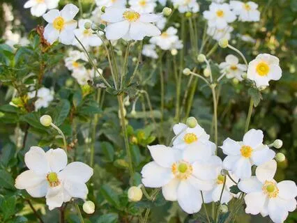 How To Give Up Ill Will - Part One