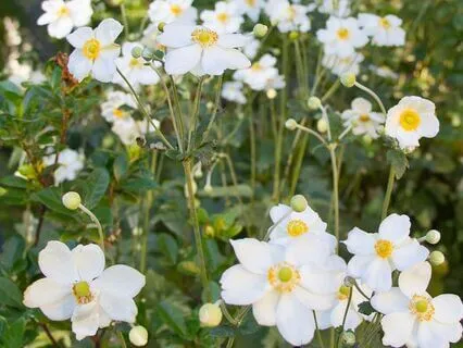 How To Give Up Laziness