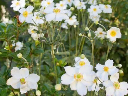 How To Give Up Worrying