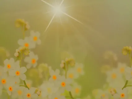 How To Grow Better Relationships