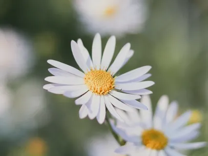 How To Have A Mini Out-Of-Body Experience