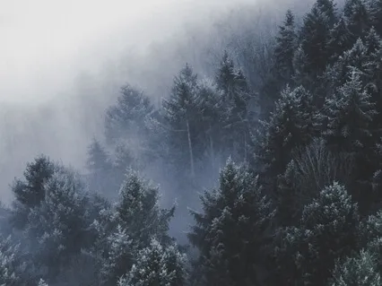 How To Heal Emotional Pain (+ Meditation)