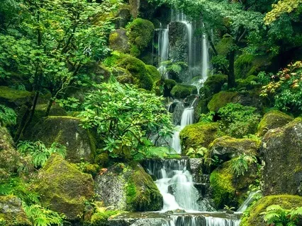 How To Interrupt Anxiety