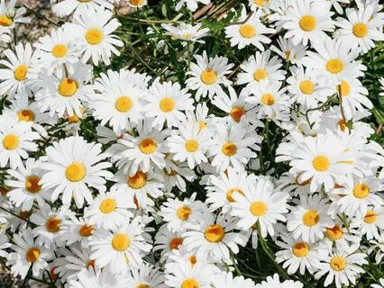 How To Invoke Happy Surprises