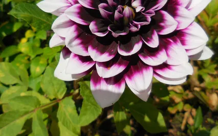 How To Know God's Will And Your Path