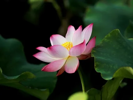 How To Know If You Are Meditating Correctly