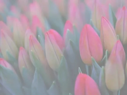 How To Know You Are Stressed