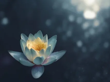 How To Let Go Of Distractions