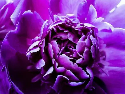 How To Let Go Of The Past & Forgive Yourself