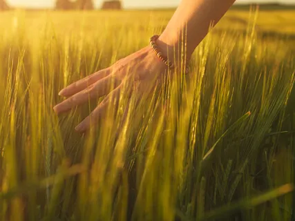 How To Let Go Of The Past