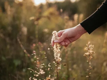 How To Listen To Your Heart