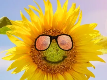 How To Live A Good Life