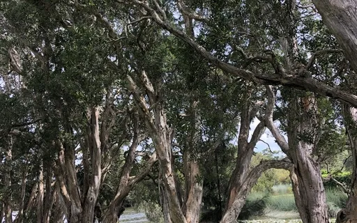 How To Live A  Life Of Ease 