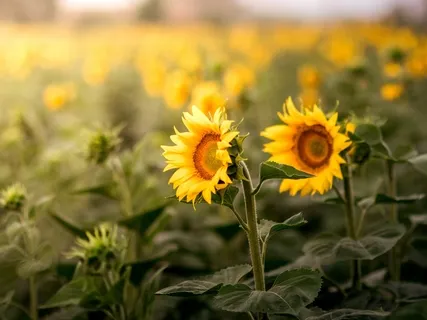 How To Love Unconditionally