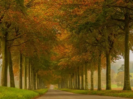 How To Love Your Self