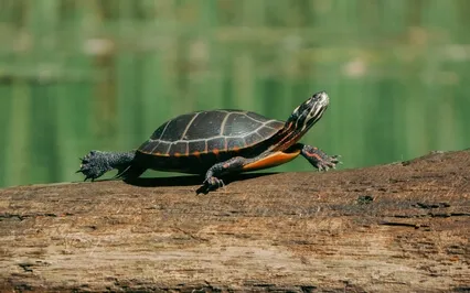 How To Make A Decision