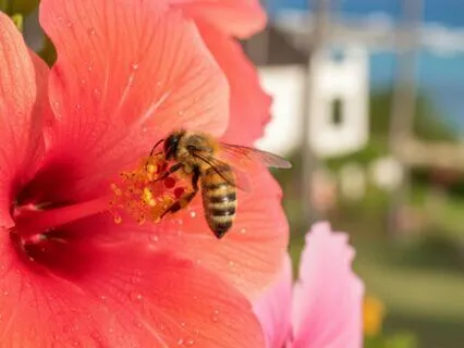 How To Make Business Fun Again