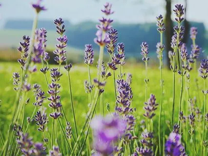 How To Make Every Moment Better