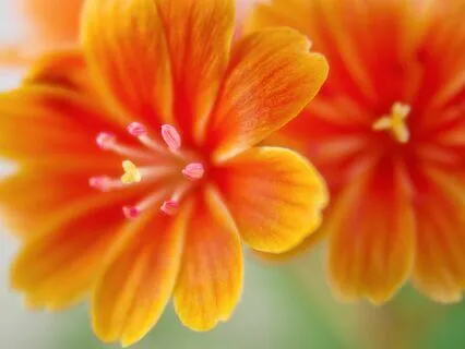 How To Make Today A Great Day - Morning Affirmations