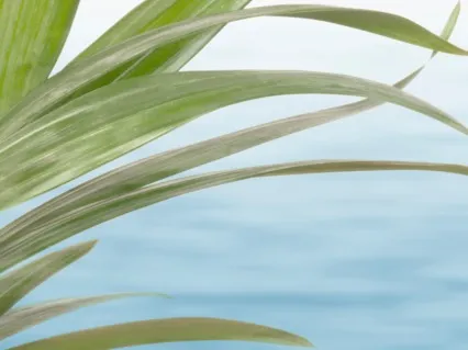 How To Meditate - An Introduction For The Beginner