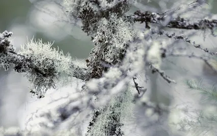 How To Open Your Eyes, Ears & Heart To Global Suffering