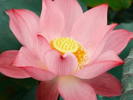 How To Operate In Times Of Fear