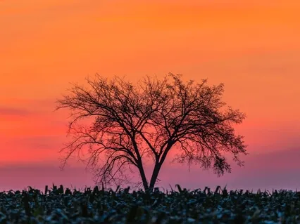 How To Overcome Guilt, Shame And Making Mistakes 