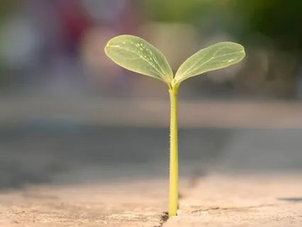 How To Overcome Negative Energy (+Tips)