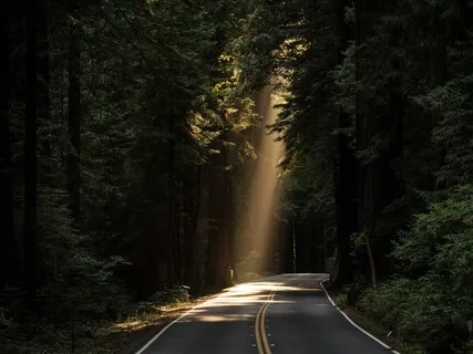 How To Overcome Our Fears