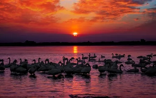 How To Practice When The World Is Burning