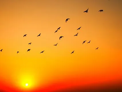 How To Pull The Future Into The Now?