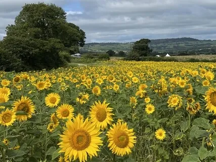 How To Quit Worrying 