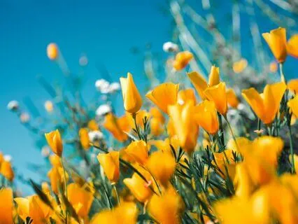 How To Raise Your Frequency