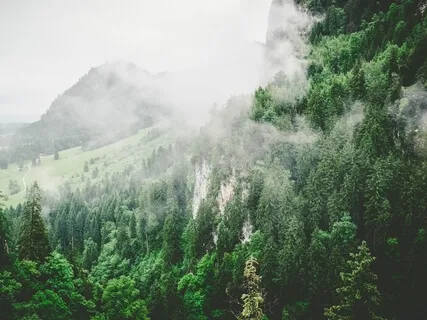 How To Raise Your Vibration In 30 Seconds