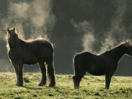 How To Receive Everything You Need