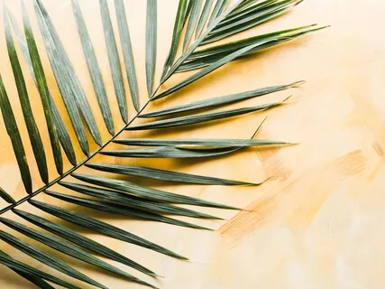 How To Reinvent Yourself - Weekly Energy Boost