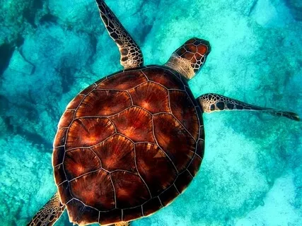 How To Release Anxiety Now