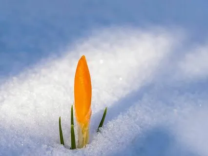 How To Release Negative Self-Beliefs