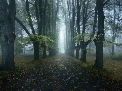 How To Release Overwhelm And Stress