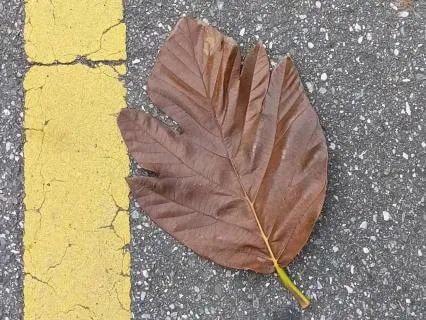 How To Release Worry