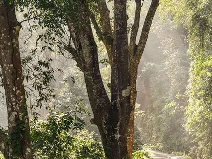 How To Remove Obstacles Caused By The Body In Meditation