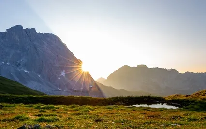 How To Root To Earth And Flower To Heaven