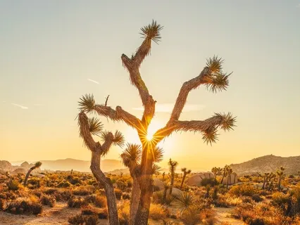 How To Search For The Meaning Of Life