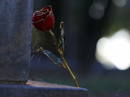 How To See New Romantic Partners More Clearly